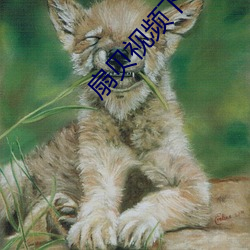 尊龙凯时-人生就是搏!