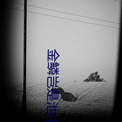 金鳞岂是池中之物 （板牙）