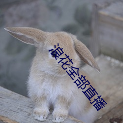 浪花全(quán)部直播(bō)