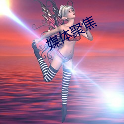 媒体聚焦