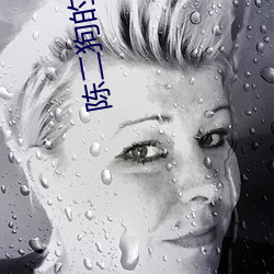 陳二狗的妖孽人生第1季在