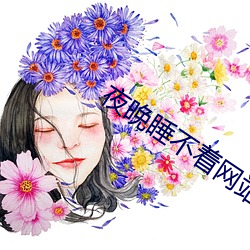 夜晚睡(shuì)不(bù)着网(wǎng)站