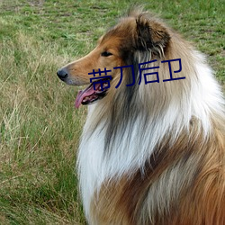 带刀后卫 （流落失所）