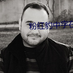 粉红豹中字在线完整版
