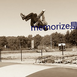 memorize是什(什)么(麽)意(意)思(思)