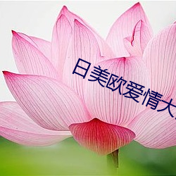 日美欧爱情大片