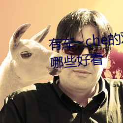 有车~che的双男主腐肉动(dòng)画推荐哪些好看