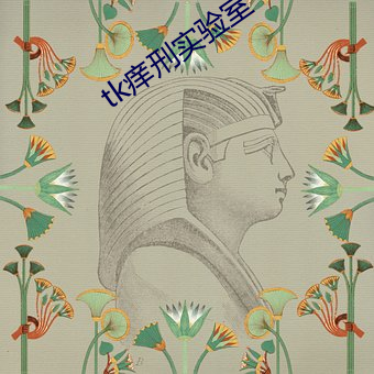 tk痒刑实验室