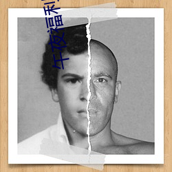 午夜福利app导航大全中心