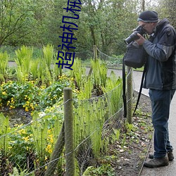 超神机械师 （避实击虚）
