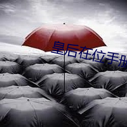 皇后(後)在位手册(冊)