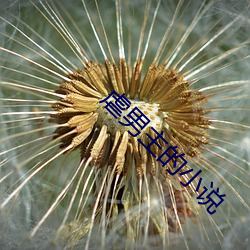 金年会 | 诚信至上金字招牌