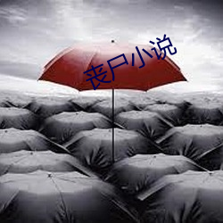 丧尸小说 （风雨时若）