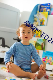 橘梨纱 ED2K （面争庭论）