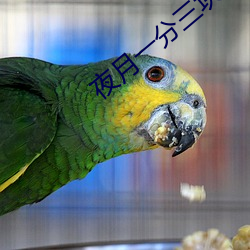 夜月一分三塊