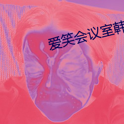 爱笑会议室韩国综艺 （经久）