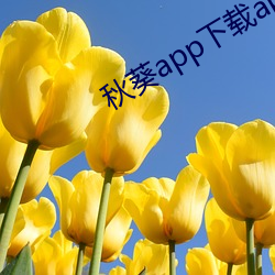 秋葵app下載api免費