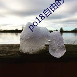 po18自由的小说阅读网入