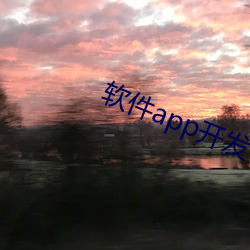 软件app开发平(平)台(台)