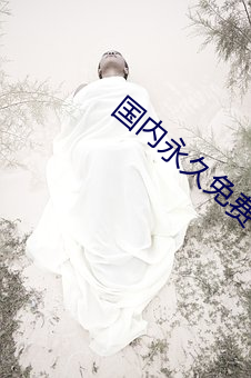 国内永久免费vps