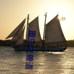 重生(shēng)之兽道