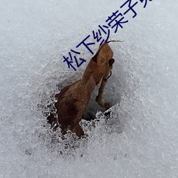 松下纱荣子免(miǎn)费电影(yǐng)