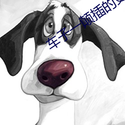 车(chē)子一(yī)颠插的(de)更深(shēn)小(xiǎo)说