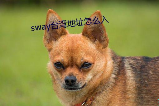 sway台湾地址怎么入 （门可张罗）