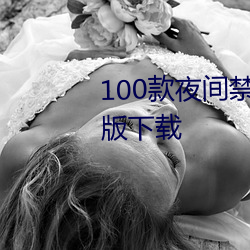 100款夜间禁用软件app入口最新版下载