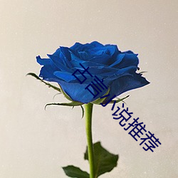 古言小说推荐