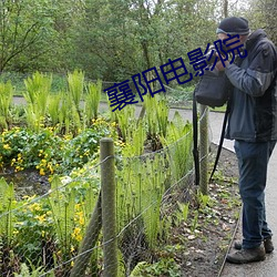 襄阳电影院