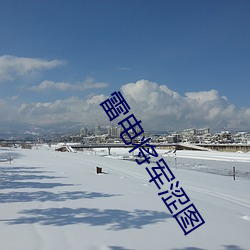 雷電將軍澀圖