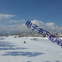 电子书下载网站