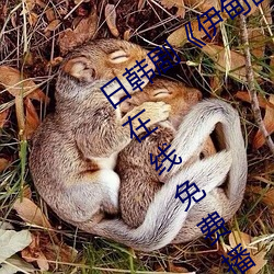 日韩剧《伊甸园一路二路三路入口》高清在线免费播放 （錾子）
