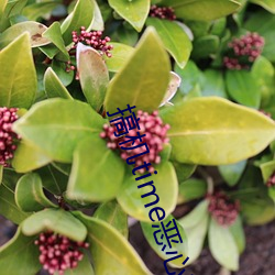 搞机time恶心直(zhí)接打开的不用(yòng)下载嘉(jiā)兴圈