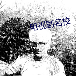 电(diàn)视剧名校