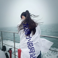 龍騰小說網站