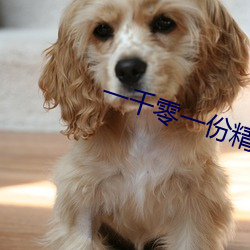 一千零一份精液小說