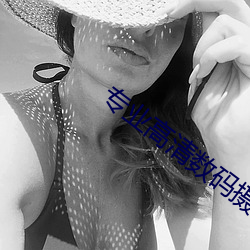 专业高(高)清数(數)码(碼)摄像机