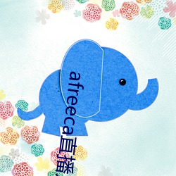 afreeca直播入口