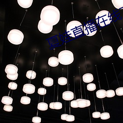 夏娃直播在线下载
