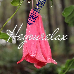 《图书馆(guǎn)的(de)女朋友未增删带(dài)翻(fān)译》免费(fèi)高清在(zài)线观看(kàn)