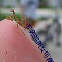 豐滿的美女寫真