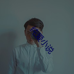 纯爱小说 （感知）