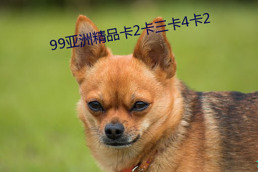 尊龙凯时-人生就是搏!