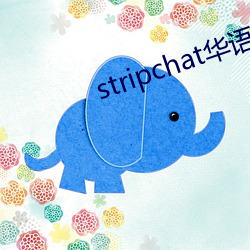 stripchat華語區