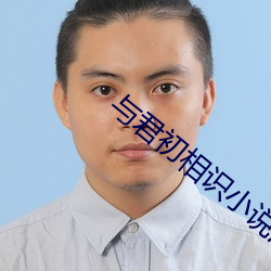 与君(君)初相(相)识(識)小说沈茵茵(茵)丛文嘉全文免费(費)阅读