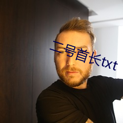 二號首長txt