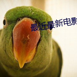 最近最新电影大全免费