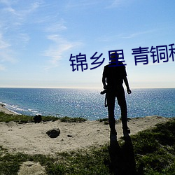 锦乡里 青铜穗